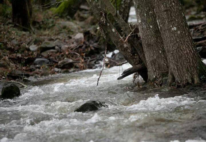 Gospodarstwo wiejskie Aguas Del Venero Losar De La Vera