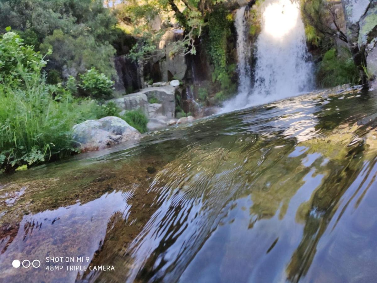 Aguas Del Venero *